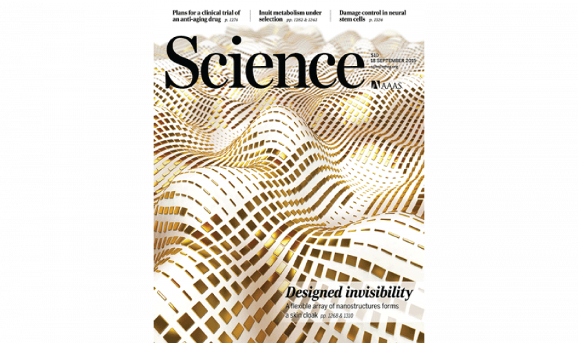 Invisibility Skin Cloak Making 3D Objects Disappear